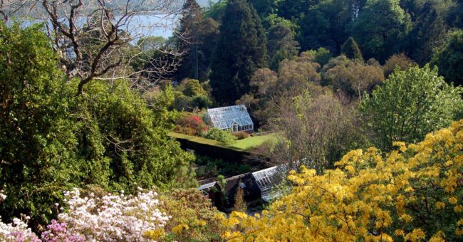 Scotland’s Glorious West Coast Gardens May 2022