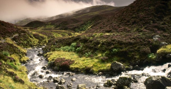 Grey Mare’s Tail Nature Reserve