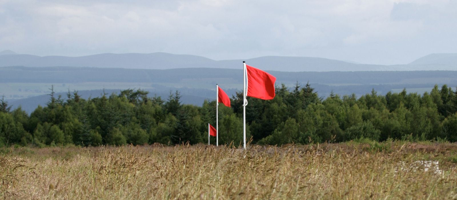 How Highland Cows Are Restoring Culloden Battlefield's Historic