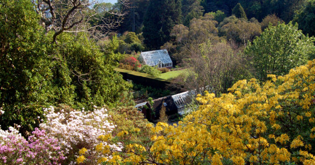 Scotland’s Glorious West Coast Gardens Tour <br> May 18th to 24th, 2025