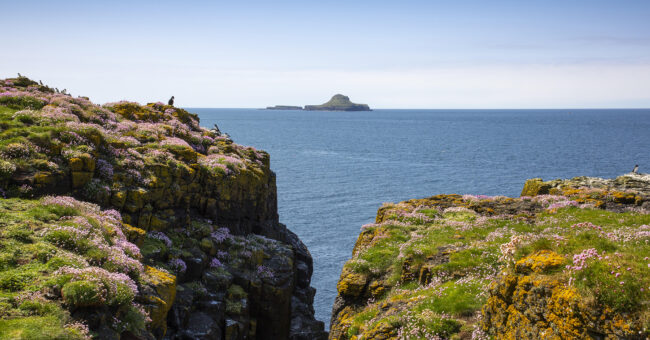 Treshnish Isles
